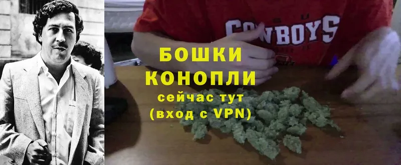 купить закладку  Сатка  Конопля White Widow 